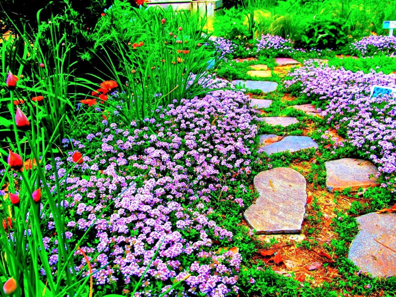 beautiful_garden_pathway.jpg