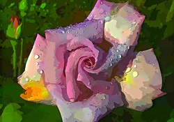 Artistic Rose