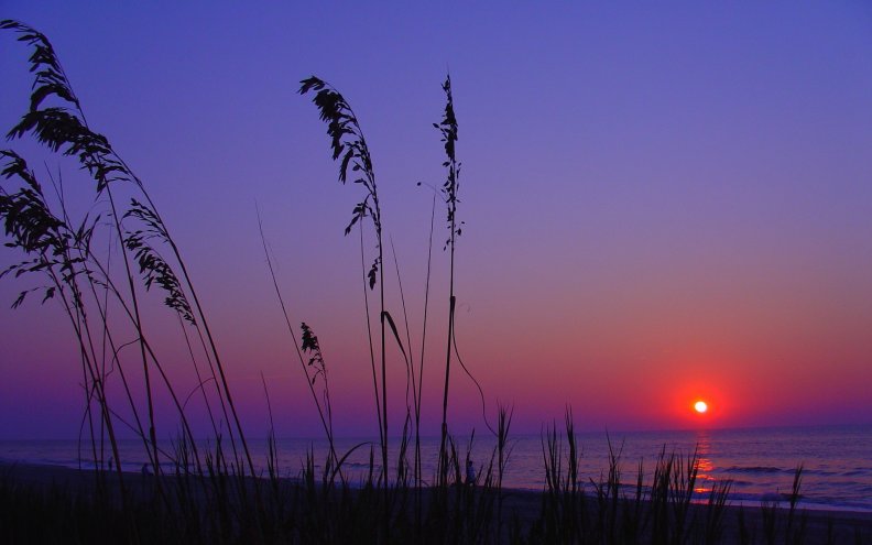 sea_and_sunset.jpg
