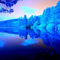 Blue Forest Silent Lake