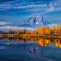 Snake River In Autumn _ Panorama