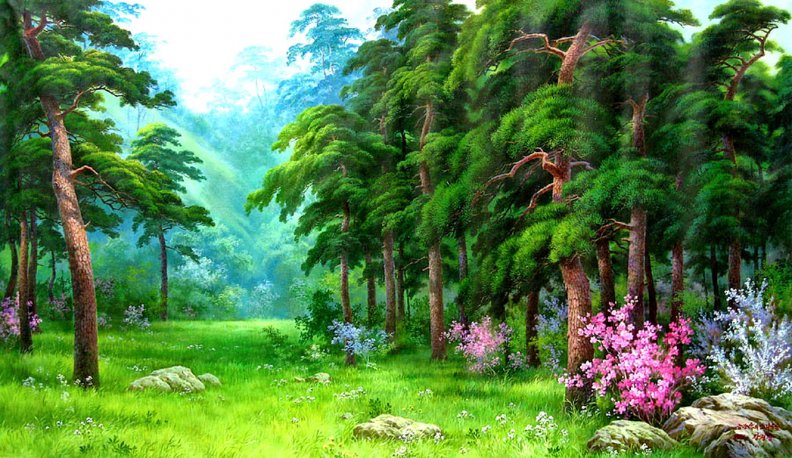 forest_beauty.jpg