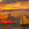 Sailboats in the Sunset