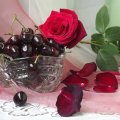 * Red rose and cherries *