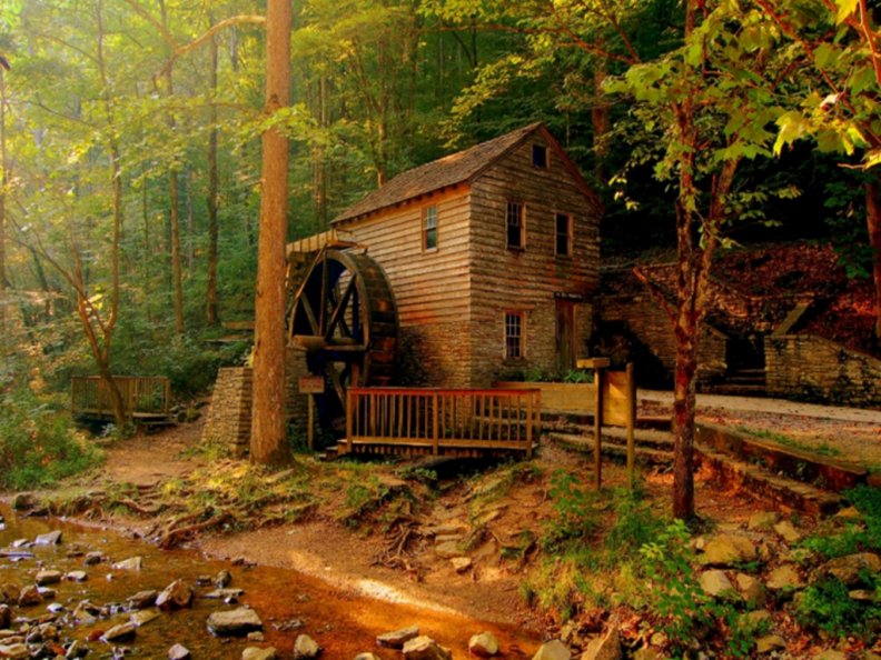 house_deep_in_the_forest_norris_dam_state_park_tennessee.jpg