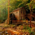 House Deep in the Forest, Norris Dam State Park, Tennessee