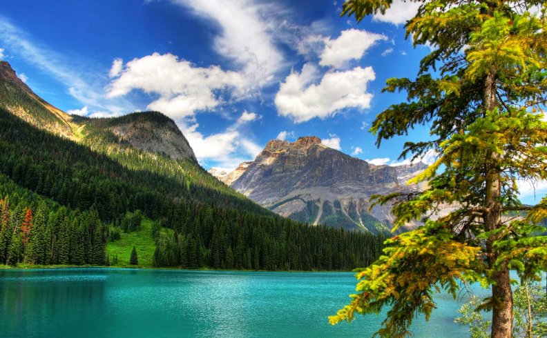 Wonderful Emerald Lake