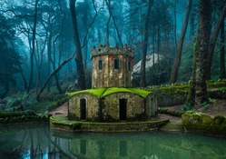 Forest Pond in Sintra