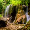 Forest waterfall