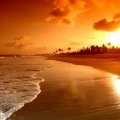 sunrise on a golden beach