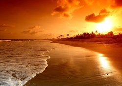 sunrise on a golden beach