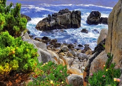 beautiful coastal rocks
