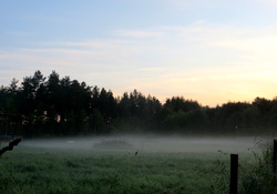 fog in the morning