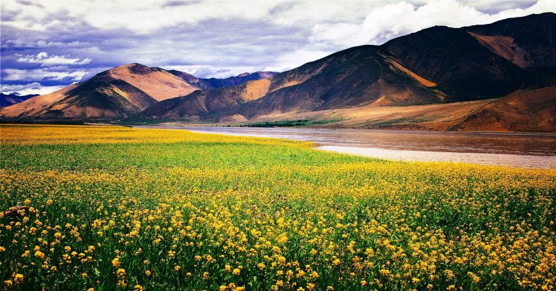 the_spring_arrived_to_river_tsangpo.jpg
