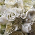 White Bouquet of Ranunculus