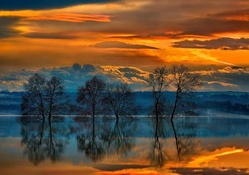 trees reflected in a lake at beautiful sunset hdr