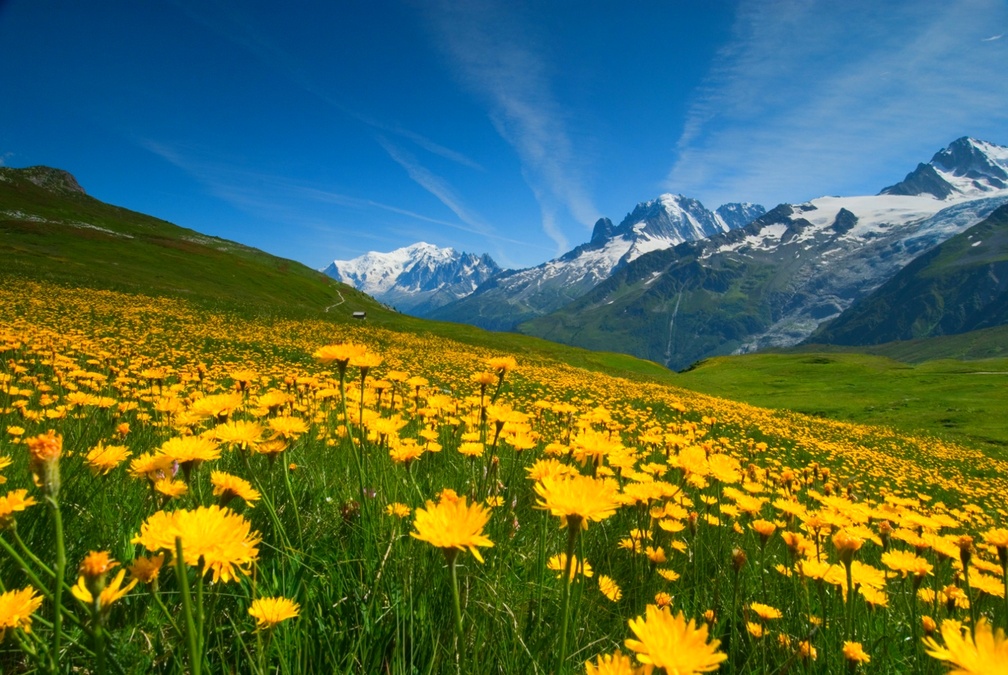 Spring At French Alps