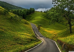 The Long and Winding Road