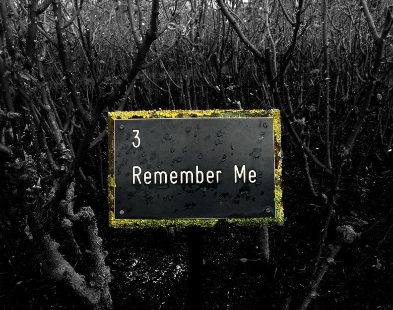 remember_me.jpg