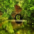 brick bridge in a calm forest river
