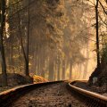 railroad track in a forest on a misty morning