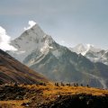 mount ama dablam in nepal himalayan range