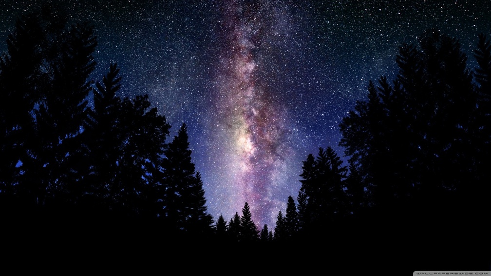 Milky Way Night