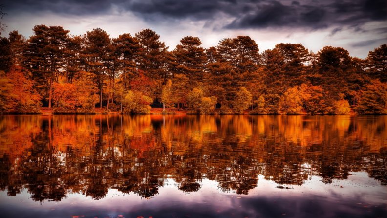 autumn_forest_reflected_in_lake_hdr.jpg