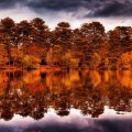 autumn forest reflected in lake hdr