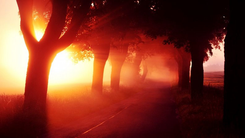 burning_sunrise_fog.jpg