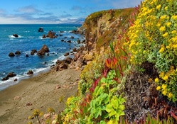 beautiful vegetation in a coastal cliff