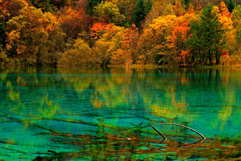 five_colors_lake_in_autumn.jpg