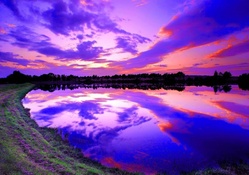 gorgeous purple sunset