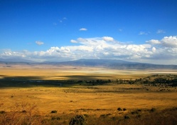 panorama view of a savannah