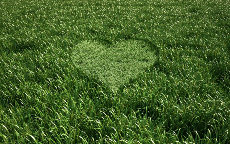 green_heart_in_grass.jpg