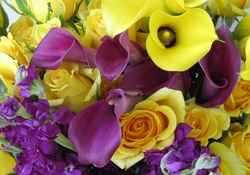 Yellow and purple flowers
