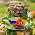lovely teacup