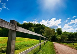country road in summer