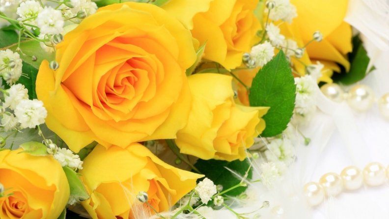 beautiful_yellow_roses.jpg