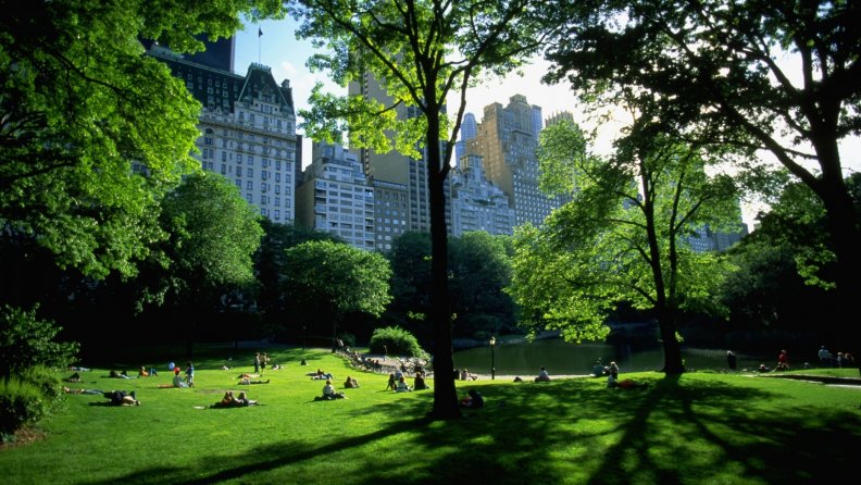 beautiful_sunny_day_in_central_park_nyc.jpg