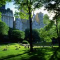 beautiful sunny day in central park nyc