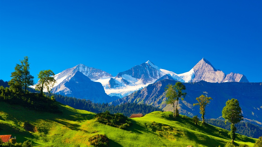 gorgeous swiss alps in summer