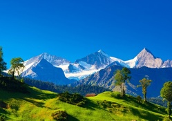 gorgeous swiss alps in summer