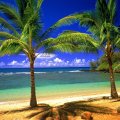 Hawaiian Beach