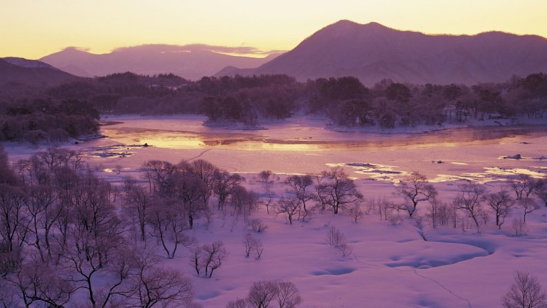 lavender_colored_winterscape_in_fukushima_japan.jpg