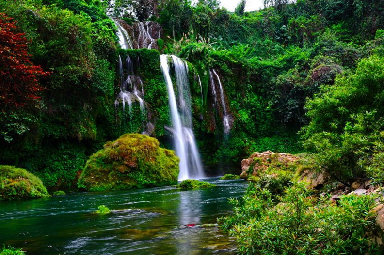 Forest waterfall Download HD Wallpapers and Free Images