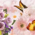 Bouquet and Butterflies