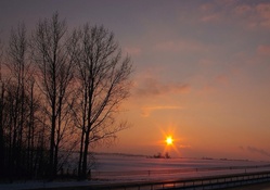 Sun in the evening winter