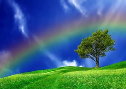 * Rainbow *
