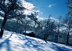 marvelous winter scene